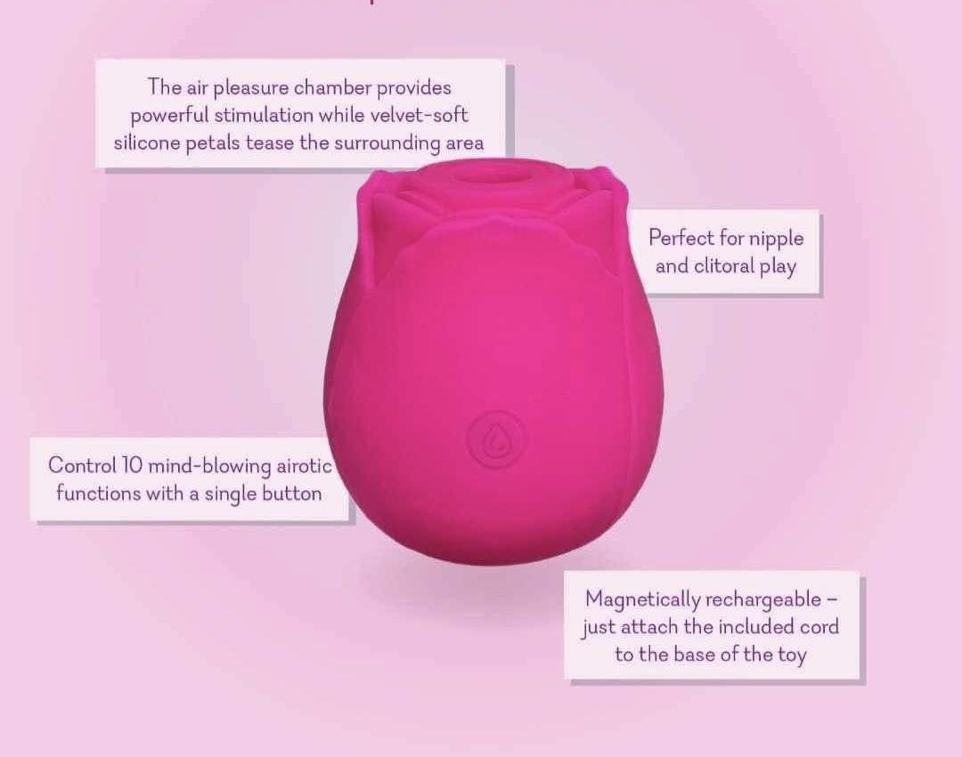 The VIRAL Rose Adult Toy