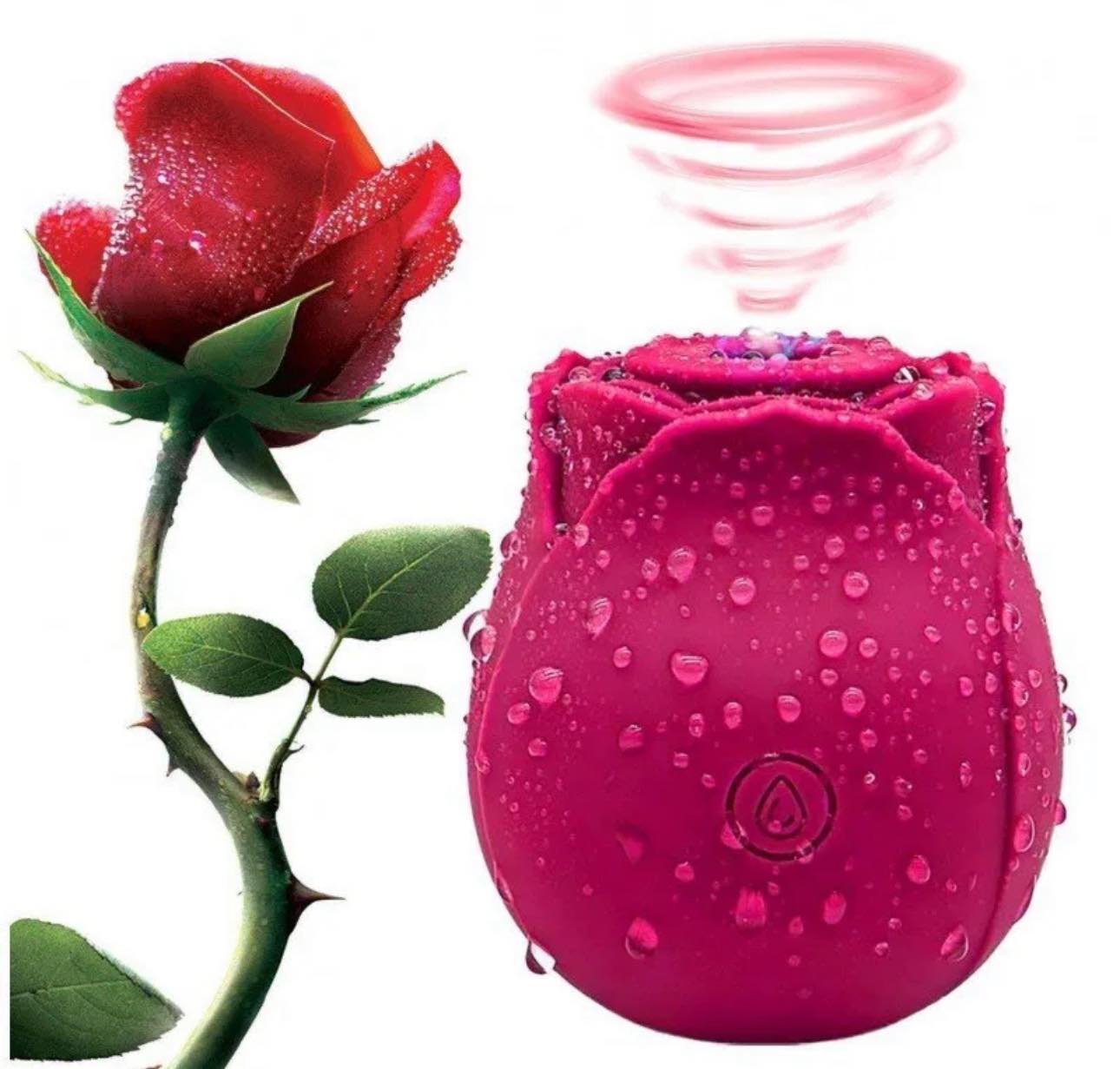 The VIRAL Rose Adult Toy